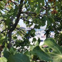 Le QUAI DES MILLIARDAIRES